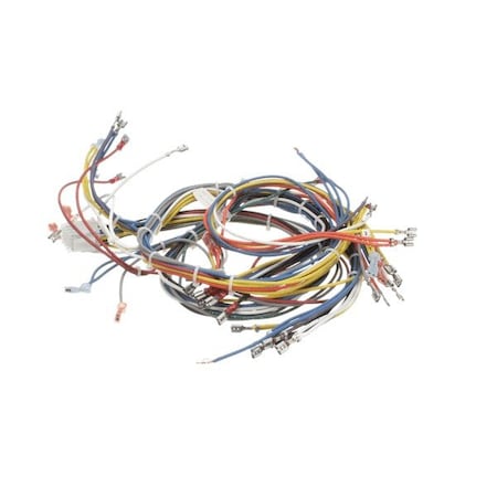 Blodgett Harness Wiring Inf 2Sp 20018